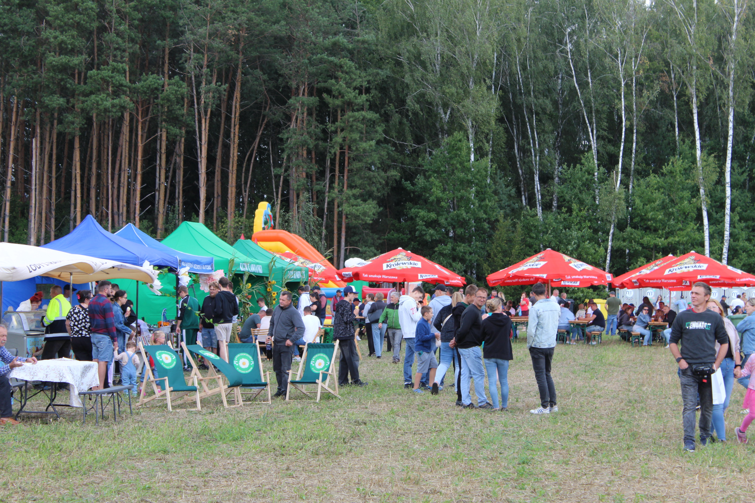 AGROMANIA WOKAS II — zdjęcie 12