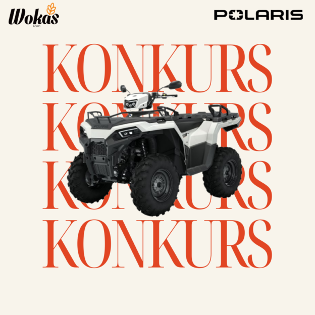 Nowy ROK –  regulamin KONKURSU POLARIS